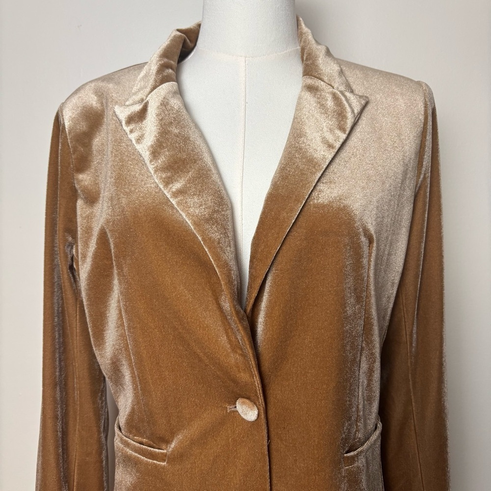 Molly Bracken Velour Blazer Single breasted Notched Lapels 2 Welt Pockets Sz S - Picture 2 of 12